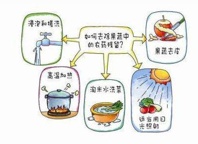 如何減少農(nóng)藥污染去除農(nóng)藥殘留？振華化工總結(jié)以下幾點分享給大家